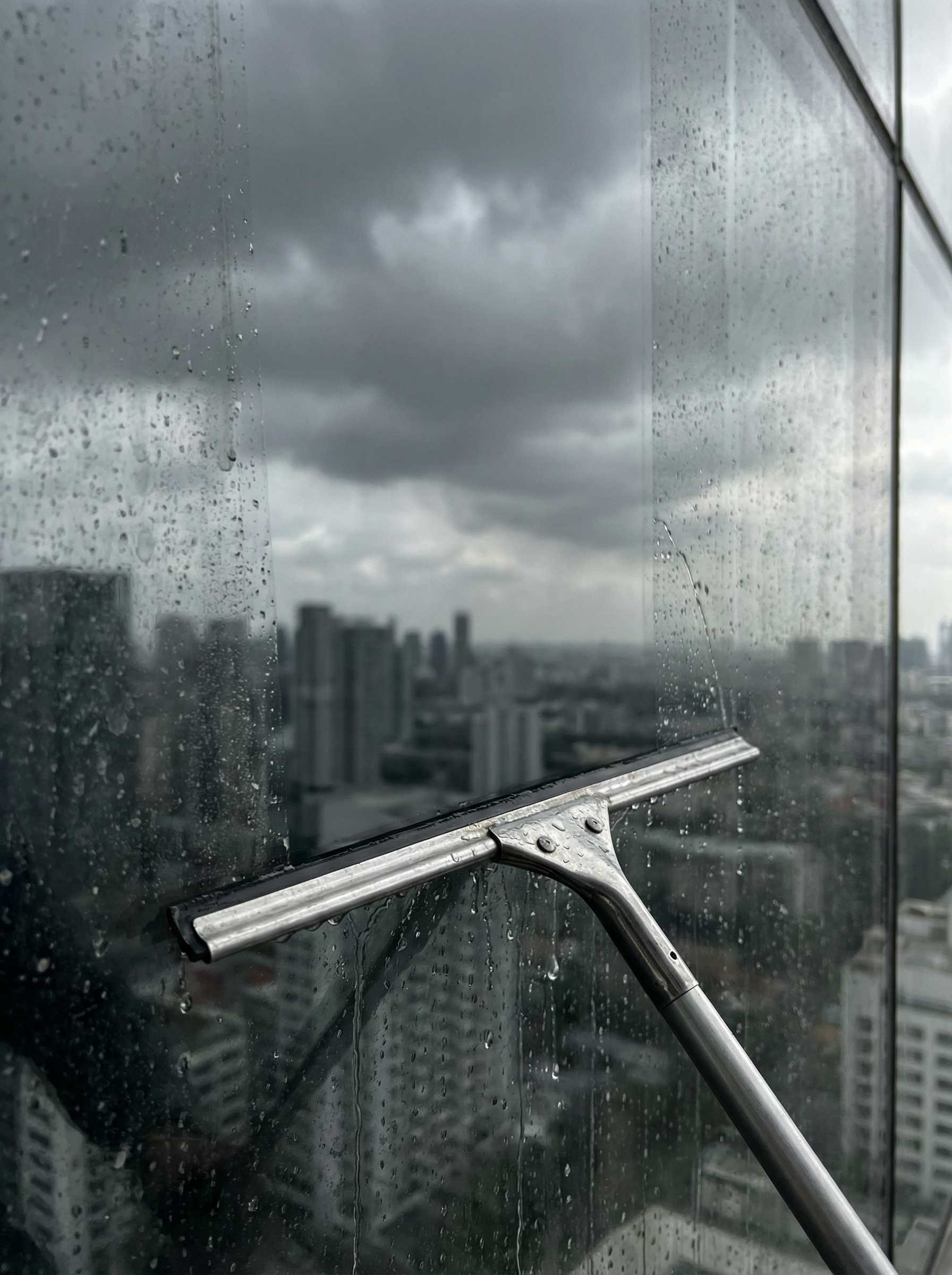 Fensterreinigung Fassade